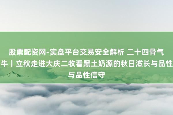 股票配资网-实盘平台交易安全解析 二十四骨气看蒙牛丨立秋走进大庆二牧看黑土奶源的秋日滋长与品性信守