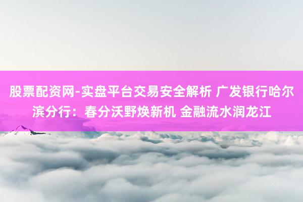 股票配资网-实盘平台交易安全解析 广发银行哈尔滨分行:春分沃野焕新机 金融流水润龙江
